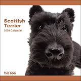 2009 Scottish Terrier ARTLIST Square Wall Calendar