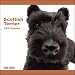 Scottish Terrier 2009 Calendar