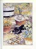 The cat who came to stay