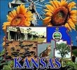 Kansas Coverlet