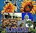 Kansas Coverlet