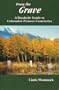 From The Grave: A Roadside Guide to Colorado's Pioneer Cemeteries