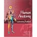 Human Anatomy Laboratory Textbook