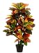 36" EVA Croton Plant in Plack Plastic Pot Green