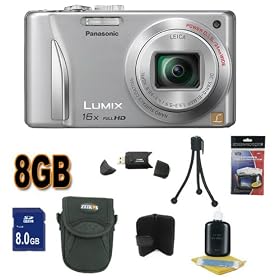 Panasonic Lumix DMC-ZS15 12.1 MP Digital Camera with 16x Optical Zoom (Silver) BigVALUEInc Accessory Saver 8GB Bundle