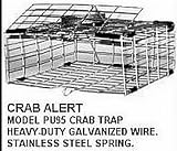 Cuba Automatic Pop-Up Crab Trap - Crab Alert!