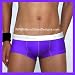 Groovin' Cup Boxer - Purple