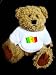 Teddy Bear with patriotism, international, senegal t-shirt