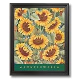 Argosy Country Sunflowers Contemporary Home Decor Wall Picture Black Framed Art Print