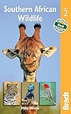 Southern African wildlife : a visitor's guide