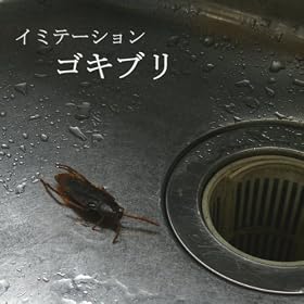 �� �� �C�~�e�[�V���� �� �S�L�u��