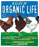  : Slice of Organic Life