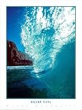 Woody Woodworth Silver Curl Surfing Poster