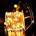 Copper Wire Light Strings, LTROP 33ft 100 LED Battery Powered Starry String Lights, Ambiance Lighting Décor Rope Light for Outdoor, Garden, Home, Party, Christmas (Battery Not Included)-Warm White