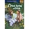 Winter Promise LA1 Readers for American Story 1