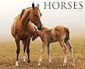 Horses 2010 Calendar