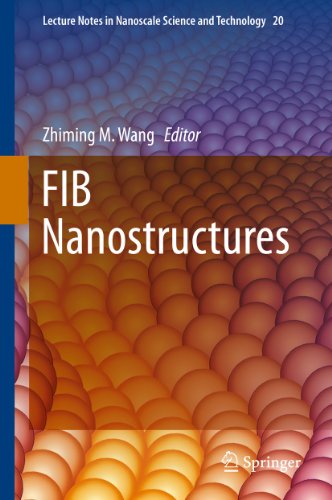 FIB Nanostructures: 20 (Lecture Notes in Nanoscale Science and Technology)