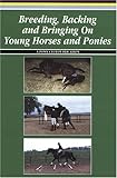 Breeding, backing and bringing on young horses and ponies