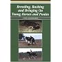 Breeding, Backing and Bringing on Young Horses and Ponies