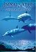 Animal Nation - Spinner Dolphins [DVD]