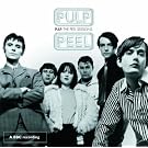 The John Peel Sessions
