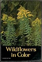 Wildflowers in Color Wildflowers in Color