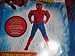 Search : Spiderman Deluxe Muscle Childrens Costume