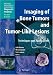 Imaging of Bone Tumors and Tumor-Like Lesions: Techniques and Applications (Medical Radiology / Diagnostic Imaging)
