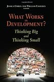 What Works in Development?: Thinking Big and Thinking Small