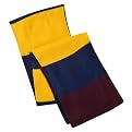Men's Rugby Stripe Scarf - Blue