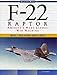 Books : F-22 Raptor: America's Next Lethal War Machine