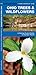 Ohio Trees & Wildflowers: A Folding Pocket Guide to Familiar Plants (Nature Observation North America)