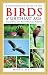A Photographic Guide to the Birds of Southeast Asia: Including the Philippines and Borneo (Princeton Field Guides)