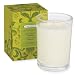 Fiddlehead Fern Candle by Caldrea