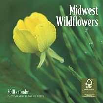 Midwest Wildflowers 2010 Mini Wall