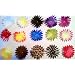 ~(500) + (100) FREE Flower Pedals-2.5"-Choose up to 10 Colors~