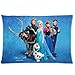 Frozen Disney 3D Cartoon Movie Custom Zippered Pillow Case 20