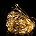 Ronzhy 5M 50LEDS Battery Operated Remote Contol LED String Lights Flexible Silver Wire Light LED Starry Lights Fairy Lights AA Battery Powered Tiny Decorative Lights(50 LEDs, Warm White)