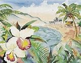 Hawaiian Orchids by Terry Madden. CANVAS WITH BRUSHSTROKES with 3/4 inch bars. 20.00 inches width by 16.00 inches height. Highest Quality Art Poster Print