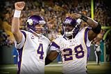 NFL Minnesota Vikings Favre-Peterson Celebration Mural Wall Graphic