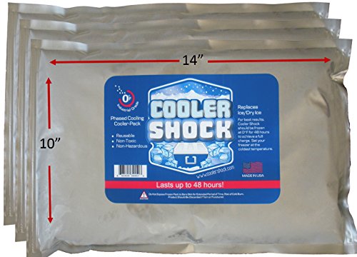 Large Cooler Freeze Packs 10