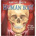 Pop-up Facts: Human Body (Pop-up Facts) (Pop-up Facts)