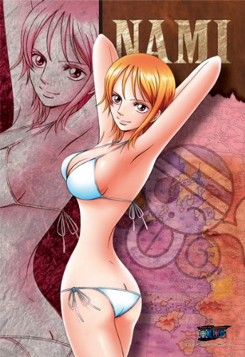 300ピース 麦わら海賊団-ナミ 300-351
