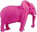erect �A�j�}���I�u�W�F COLORED�]�E e-003 �s���N  4900301