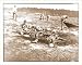 Civil War Photo (M): Cold Harbor Va. African Americans collecting bones of soldiers killed in the battle