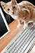 Viziflex Pet Proof Cover