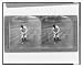 Historic Print (S): Gene Sarazen addressing the ball with putter