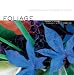 Foliage: Astonishing Color and Texture Beyond Flowers Foliage: Astonishing Color and Texture Beyond Flowers