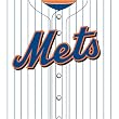 New York Mets MLB Book Cover