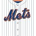 Turner MLB New York Mets Stretch Book Covers (8190018)